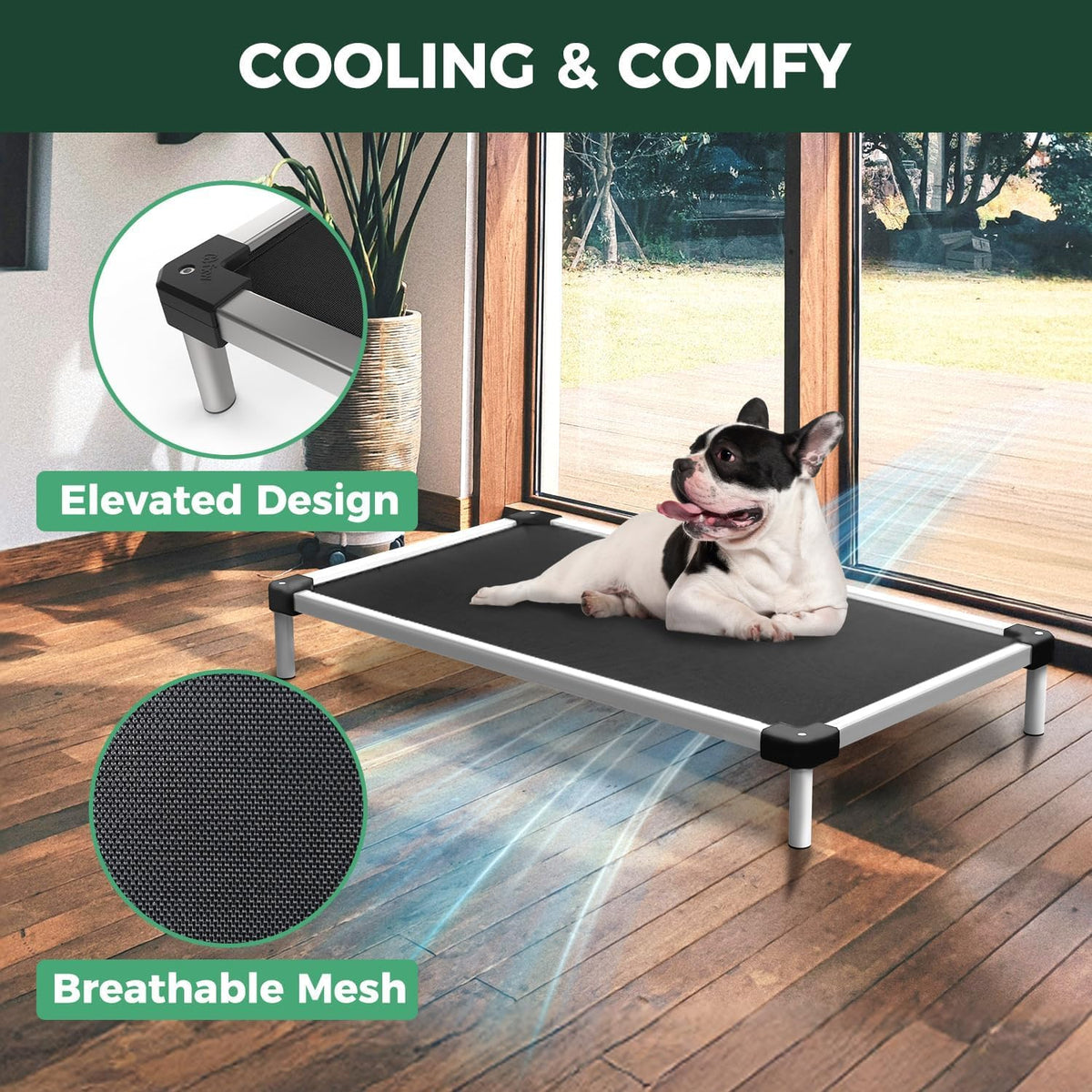 FXW TitanNest Chew-Proof Elevated Dog Bed, Raised Cot for Indoor/Outdoor/Camping Use, Durable &