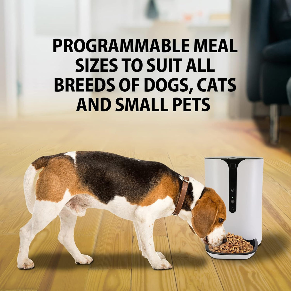 Lentek Smart Pet Feeder - Auto Dry Feeding Dispenser for Cat & Dogs with 720p HD Camera & Timer