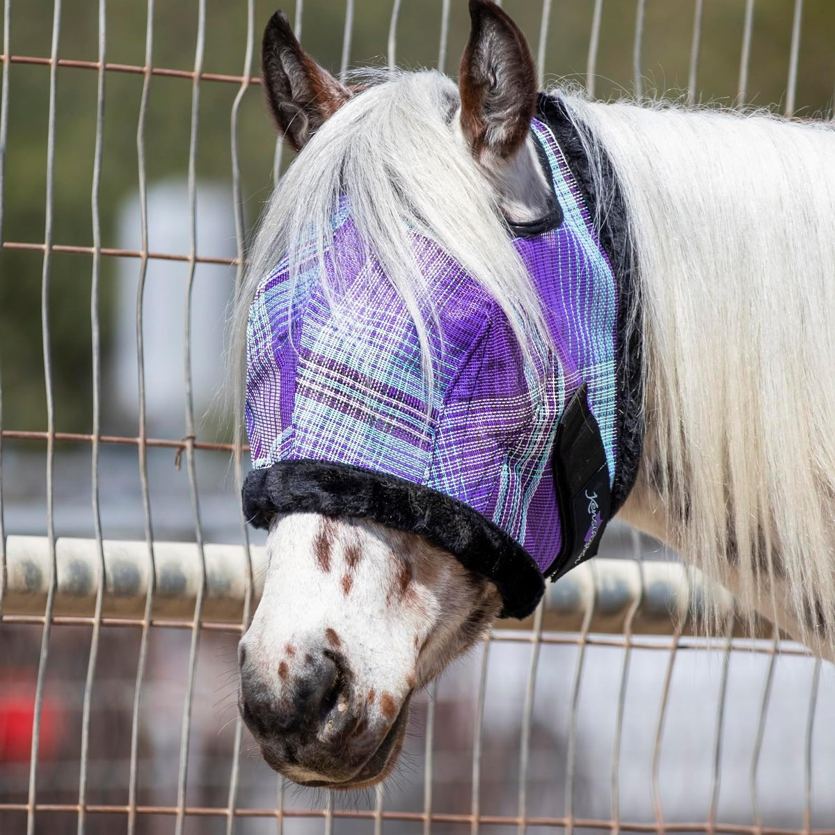 Kensington Fly Mask with Fleece Trim for Horses — Protects Face and Eyes from Flies and Sun Rays