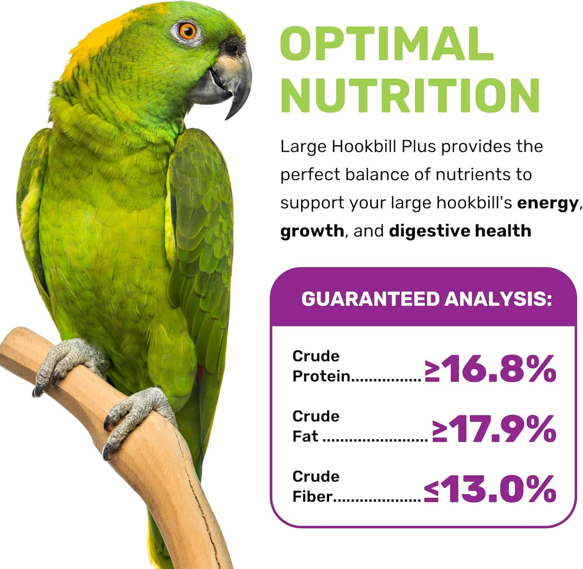 Large Hookbill Plus 5 Lbs, Bird Food for Large Hookbill, Premium Bird Seeds, Supports Growth Energy