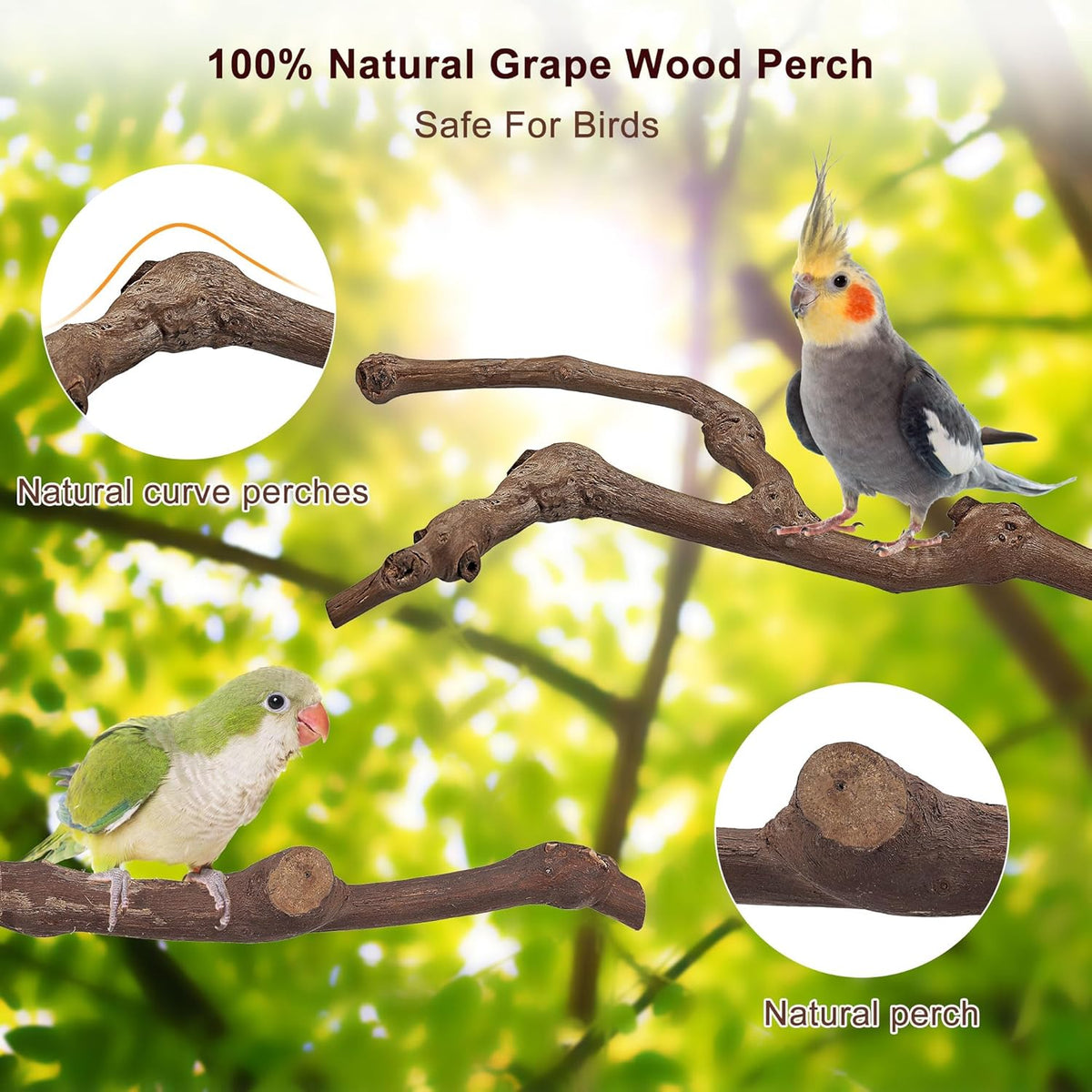 Mogoko 5PCS Bird Perch Natural Wood Grape Stick Stand, 3 Grape Stick Paw Grinding Fork Parakeet
