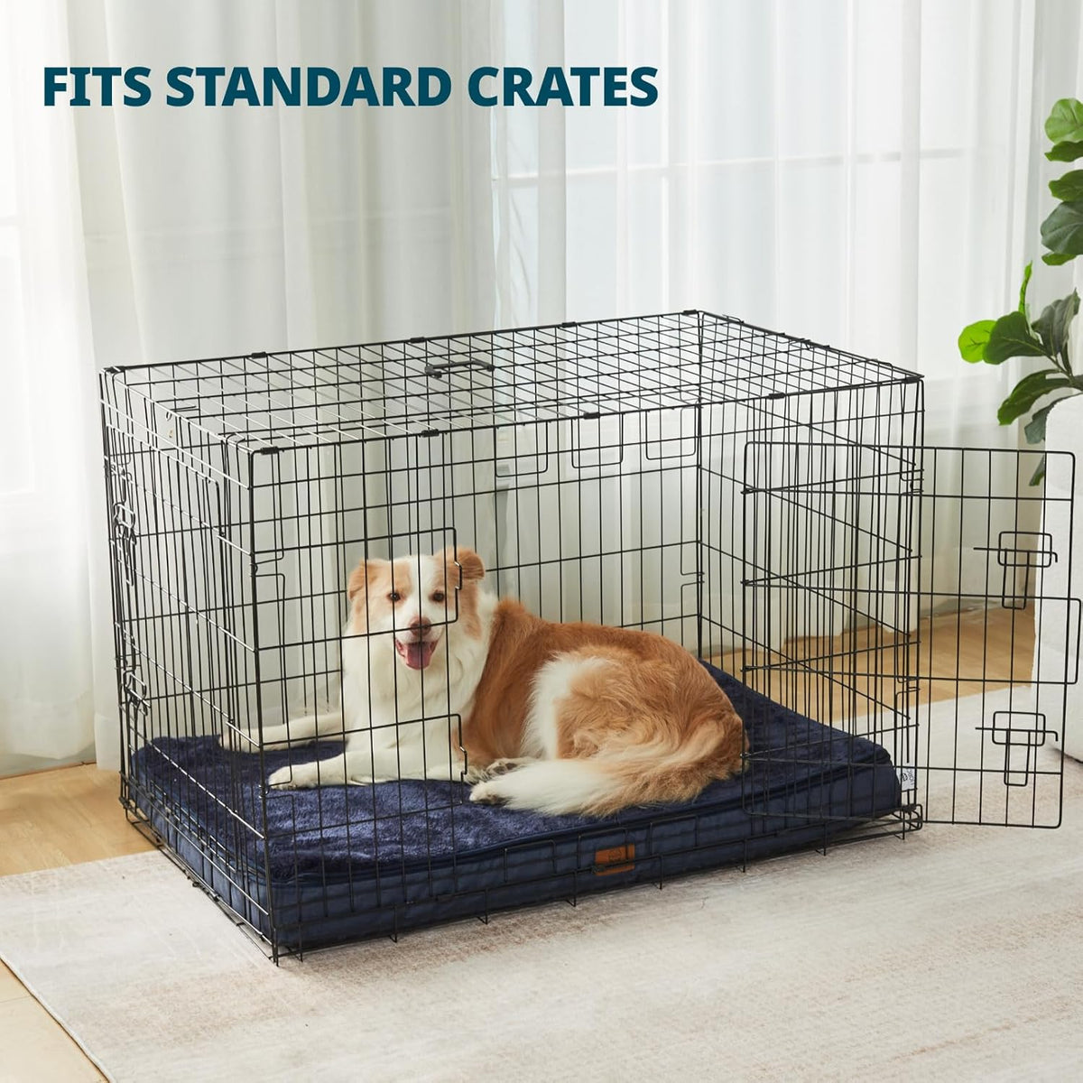 Memory Foam XL Dog Bed - 4” Thick Orthopedic Beds for Extra Large Dogs - Waterproof Dog Bed with