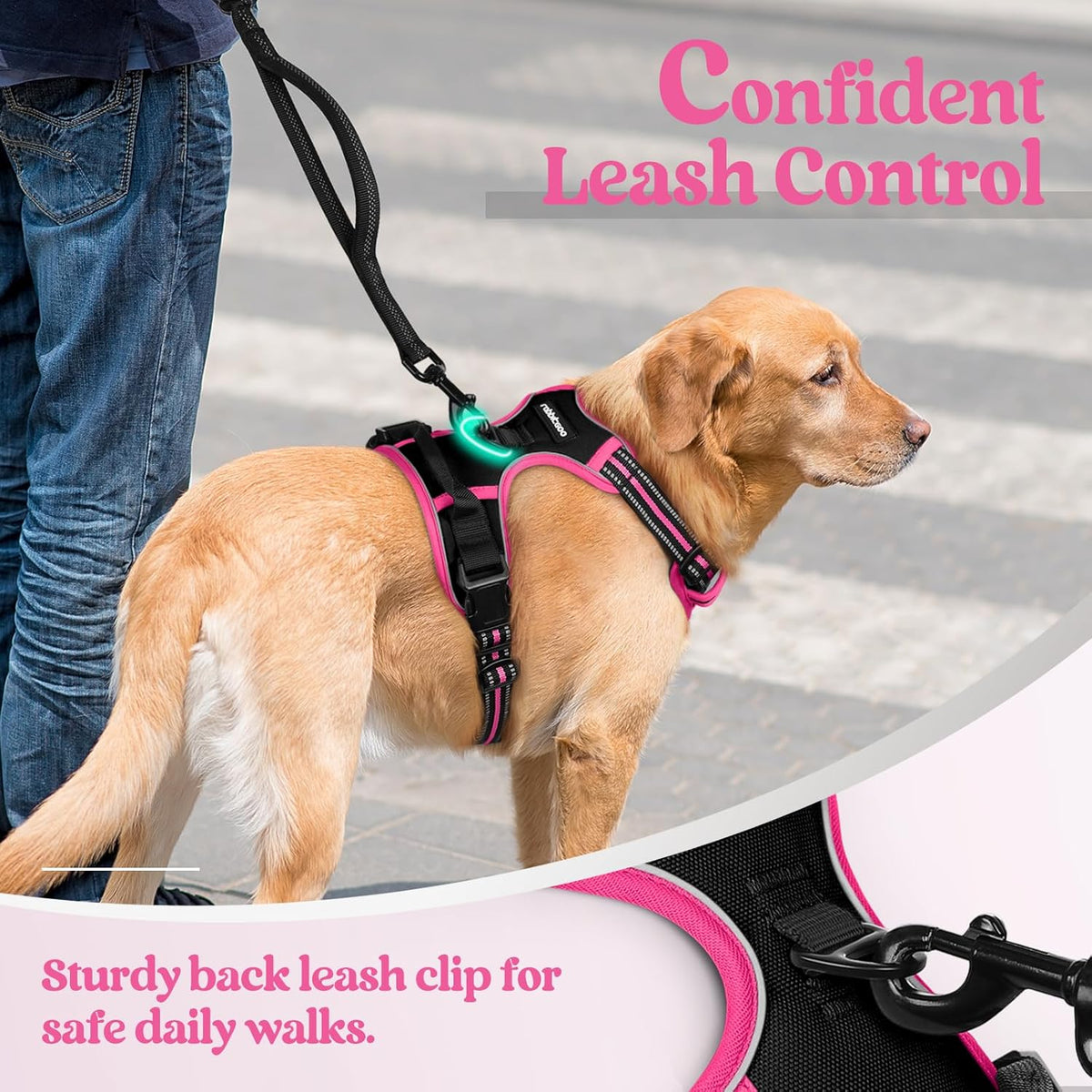 rabbitgoo Dog Harness No Pull with 2 Leash Clips, Adjustable Soft Padded, Reflective Oxford No