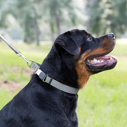 Dogline Biothane Waterproof Dog Collar with Herm Sprenger Black Stainless Steel Quick Release