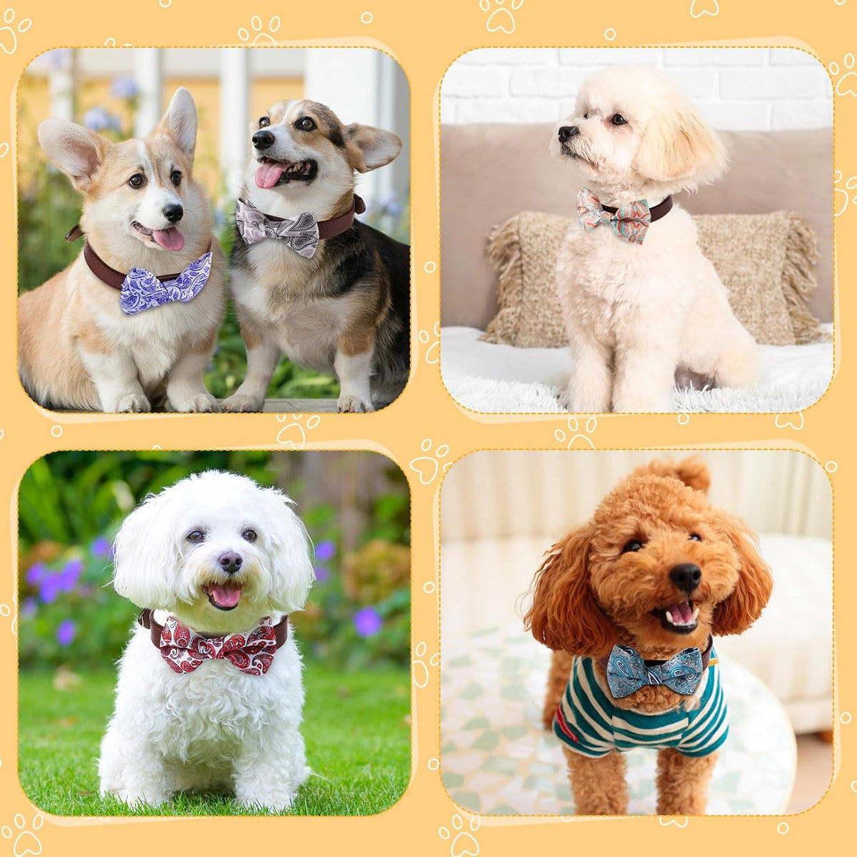 Reginary 50 Pieces Dog Bow Ties Pet Collar Bow Puppy Collar Attachment with Rubber Bands for Small