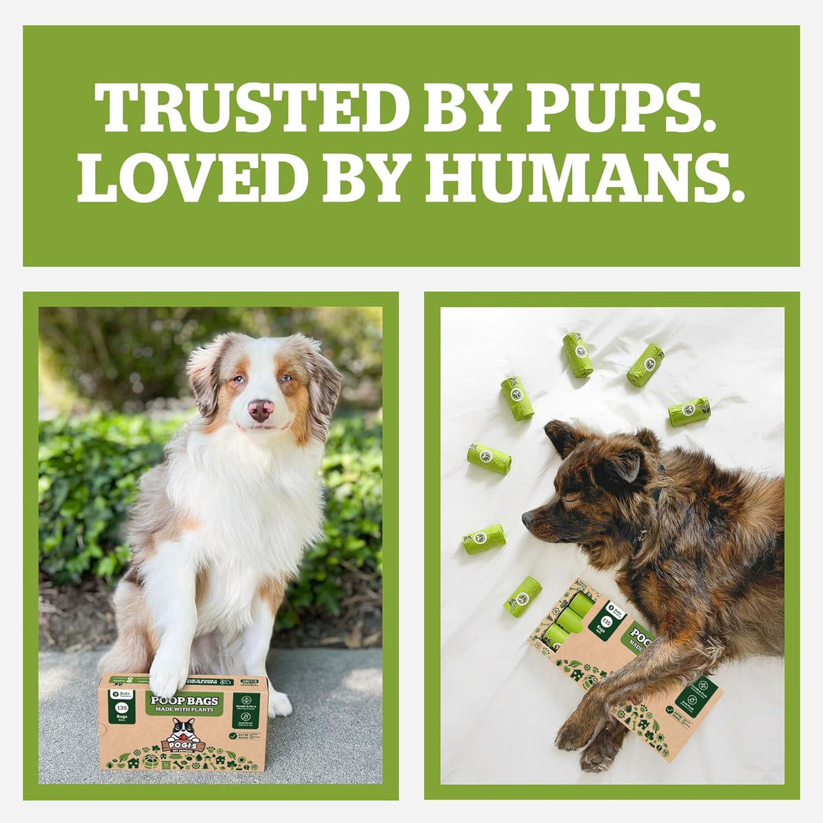 Pogi's Compostable Poop Bags – Leak-Proof, Extra-Large, Made with Plants – 9 Rolls (135 Bags)