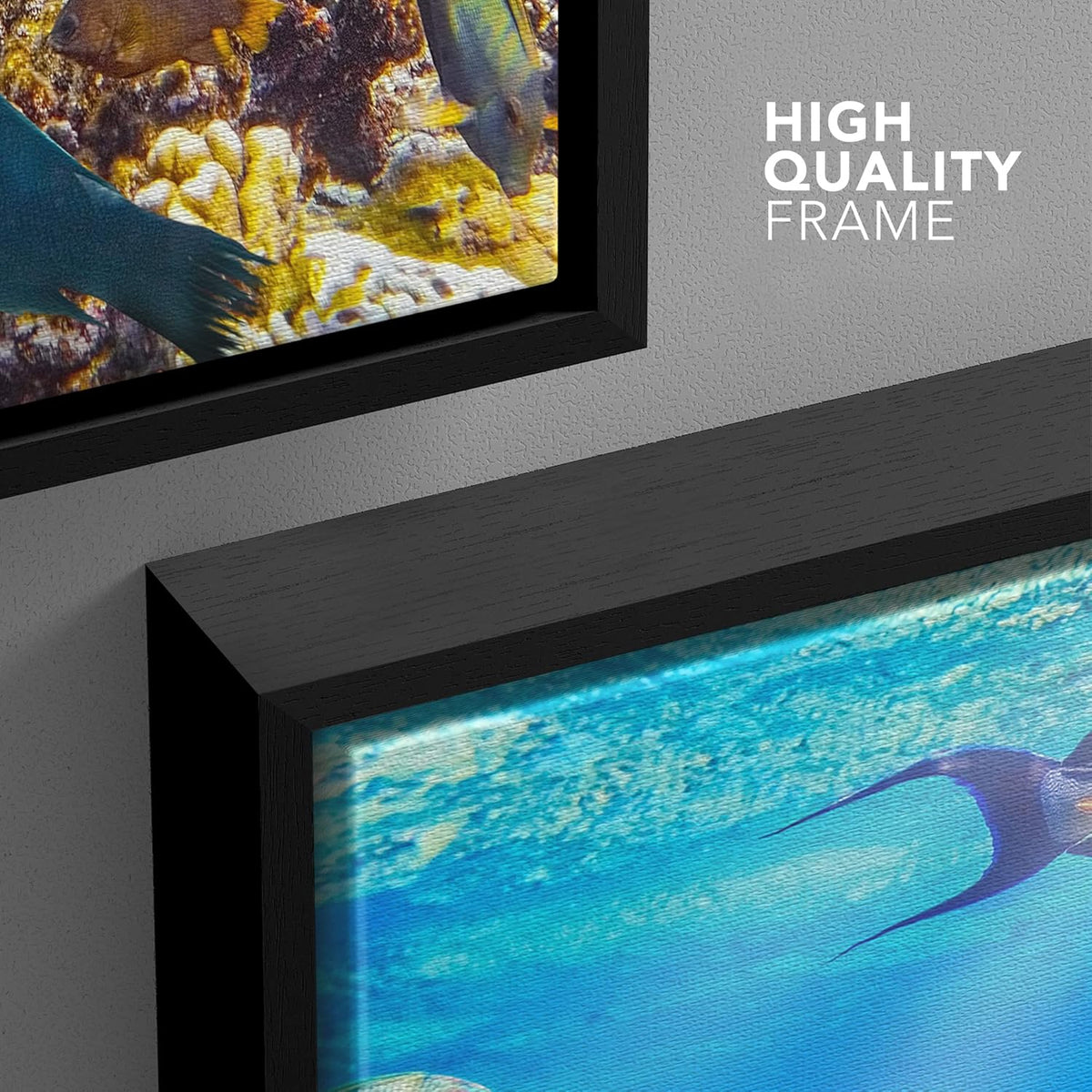 wall26 Framed Canvas Print Wall Art Sunlight Ocean Sea Coral Reef Anemone Fish Nature Animals