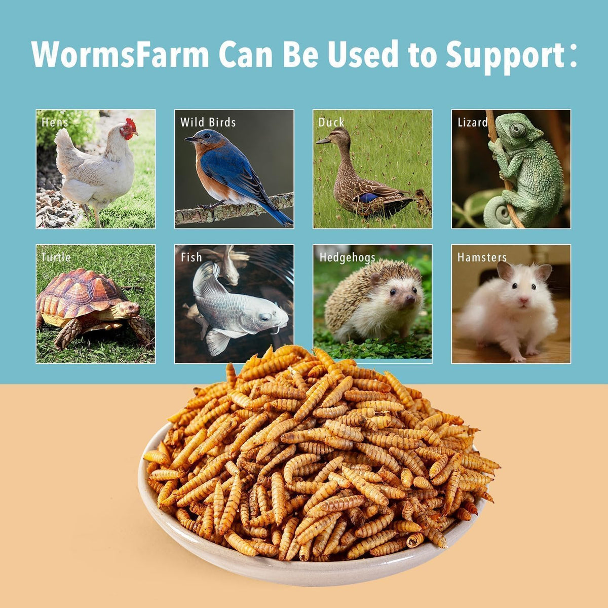 5LB Dried Black Soldier Fly Larvae Treat for Chicken More Calcium Than Mealworms,for Laying
