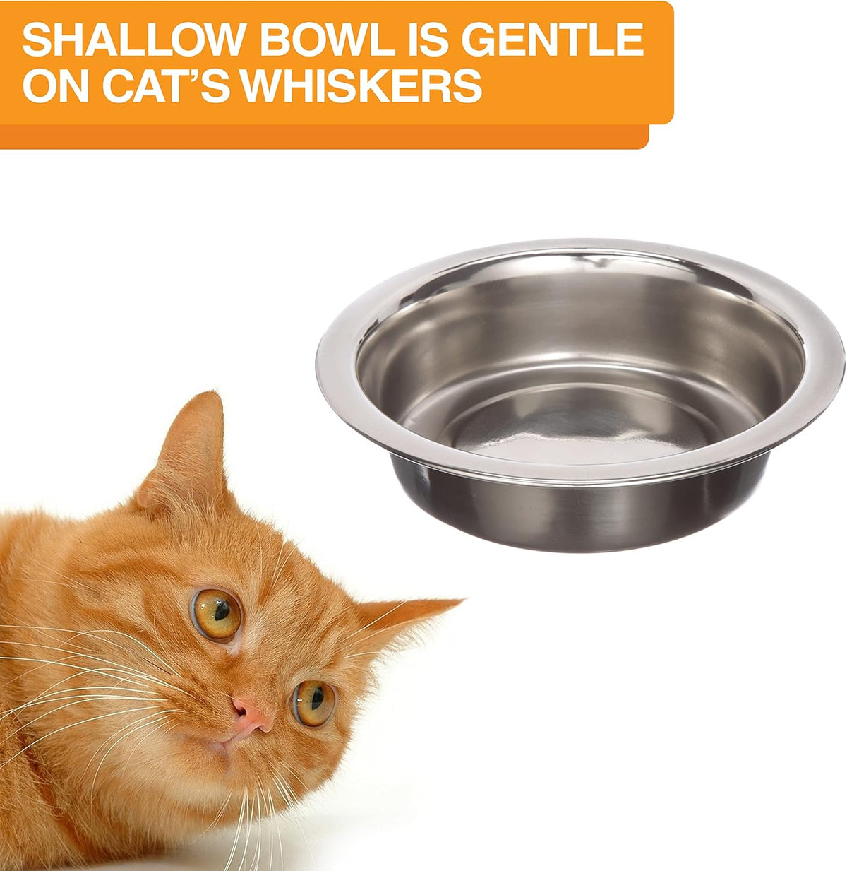 Neater Feeder Deluxe Mess Proof Cat Bowls Elevated for All Breeds – Made in USA – No Spill Raised