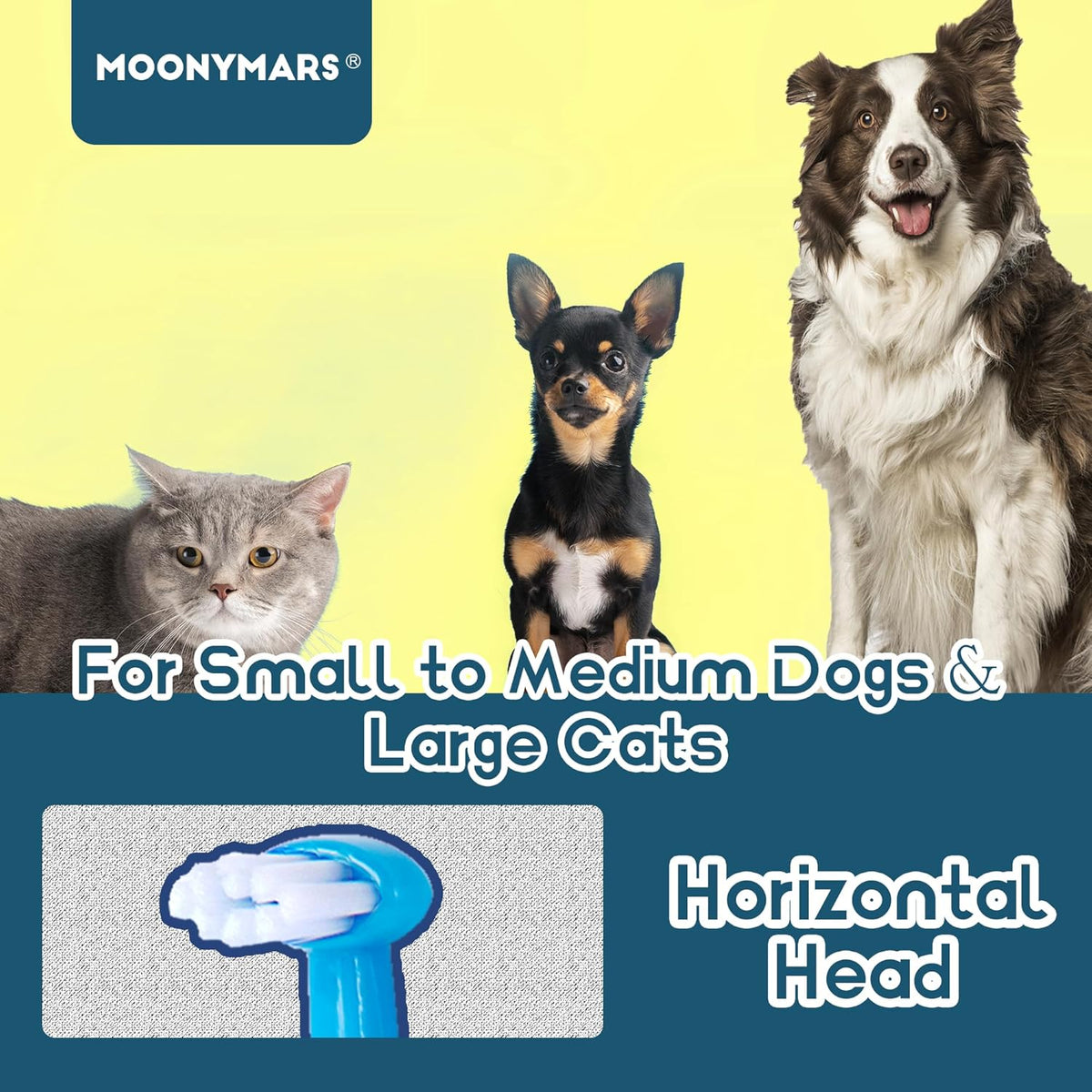 Small Dog Toothbrush, Cat & Puppy Tooth Brushing Kit, Mini Head Teeth Brush for Kitten & Tiny Pet