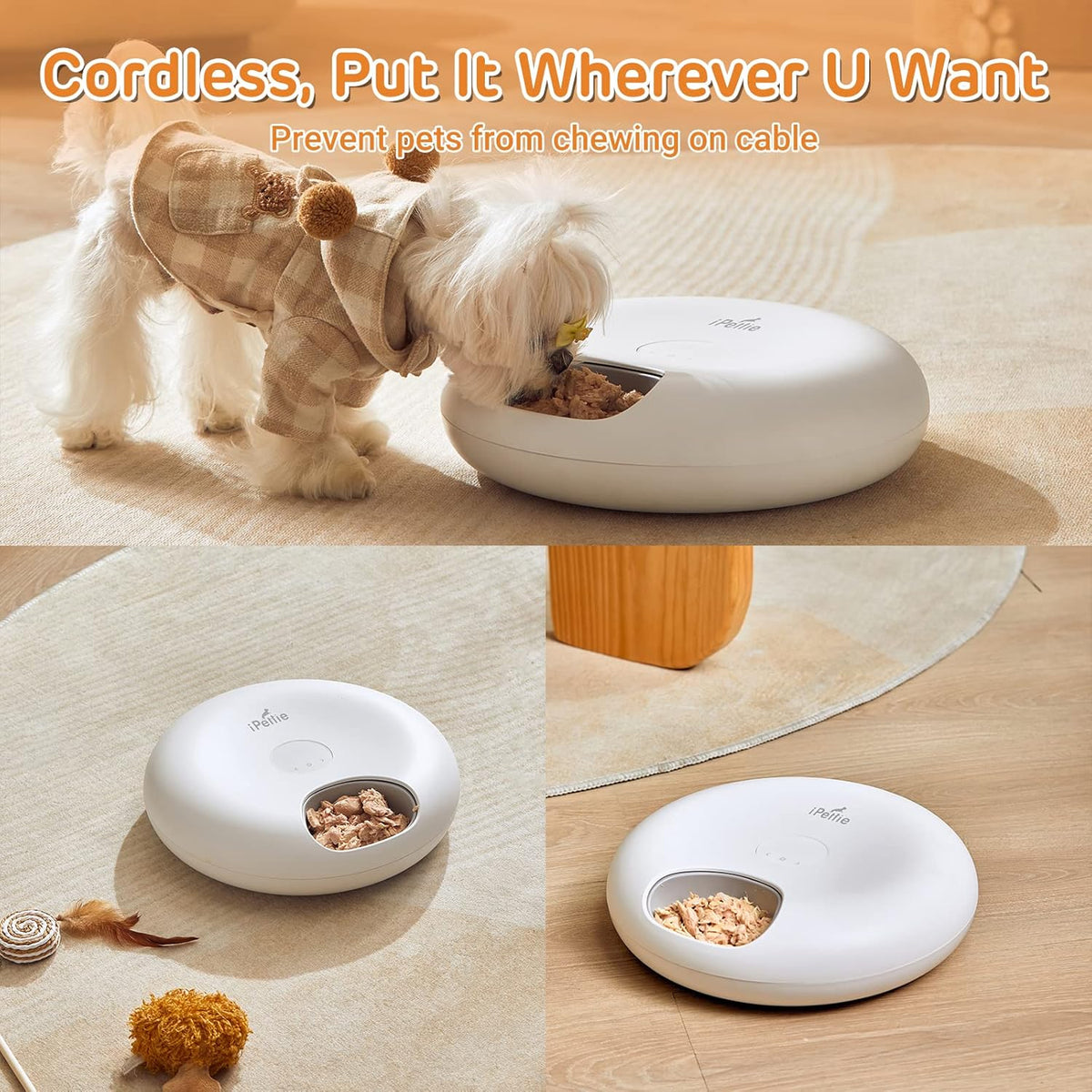 iPettie Donut Frost 6 Meal Cordless Automatic Pet Feeder, Dry & Wet Food Automatic Cat Feeder with