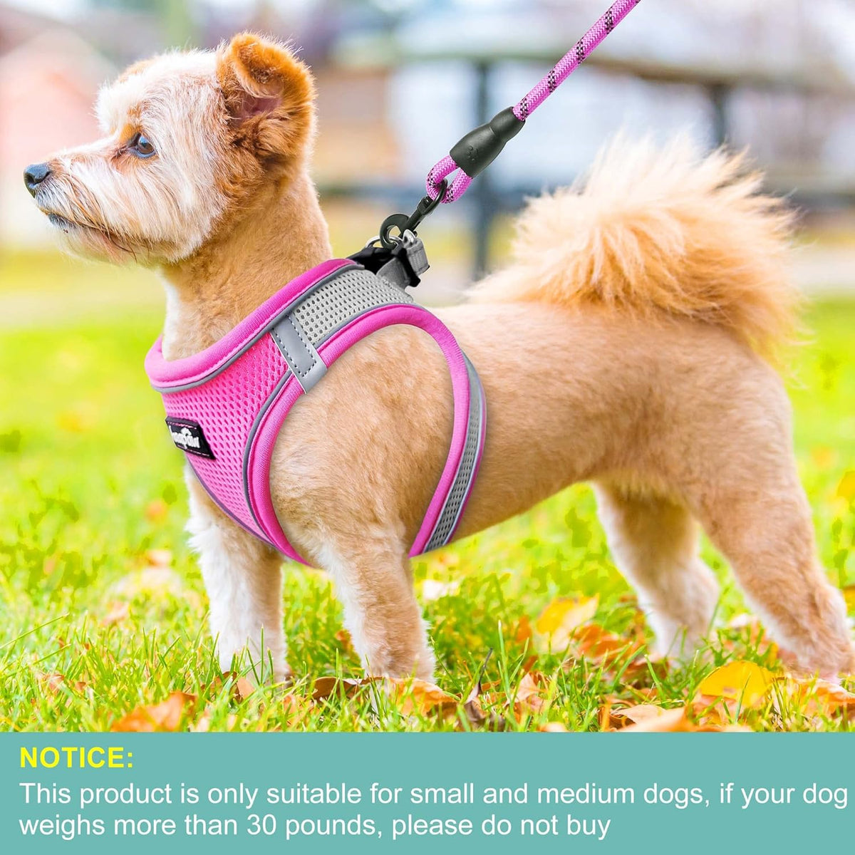 haapaw Dog Harness with Leash Set, No Pull Adjustable Reflective Step-in Puppy Harness with