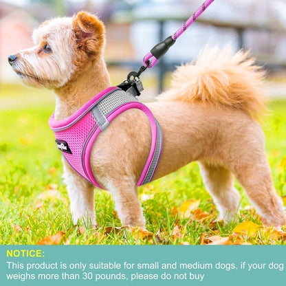 haapaw Dog Harness with Leash Set, No Pull Adjustable Reflective Step-in Puppy Harness with