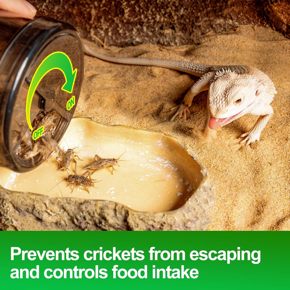 Cricket Calcium Powder Mixer, Reptile Cricket Keeper, Reptile Calcium Duster for Bearded Dragon