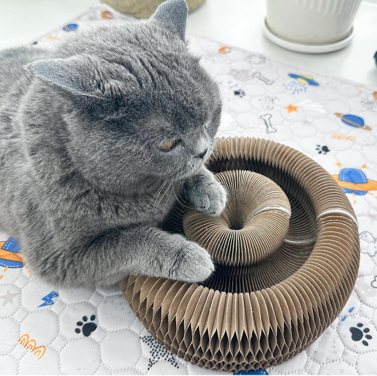 Interactive Scratching Board for Playful Kitties Magic Accordion Cat Scratching Post, Fun Cat Toys