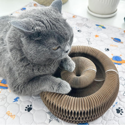 Magic Accordion Cat Scratching Board - Interactive Toy for Bored Indoor Cats, Fun & Durable Cat