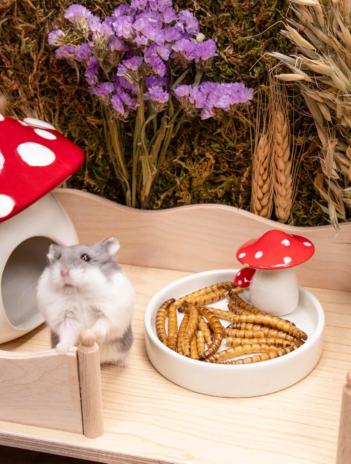 Niteangel Small Animal Snack & Treats - Small Critter Natural Treat for Dwarf Syrian Hamsters