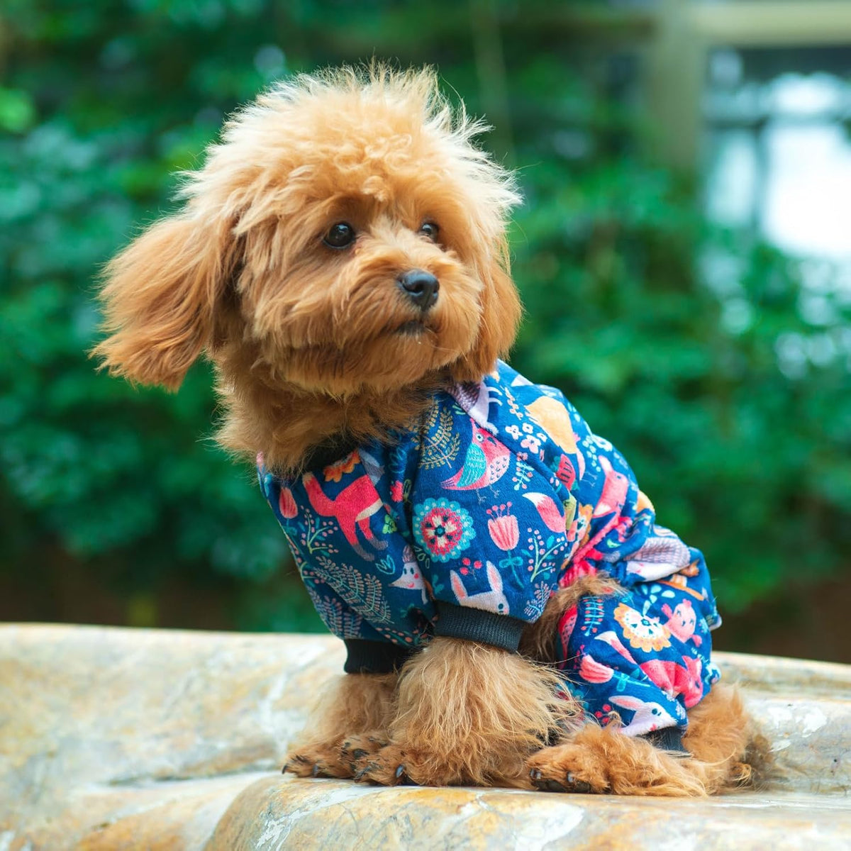 CuteBone Small Dogs Outfit Soft Puppy Onesies Pjs Dog Pajamas Pet Coat Cat Apparel Comfy Doggie