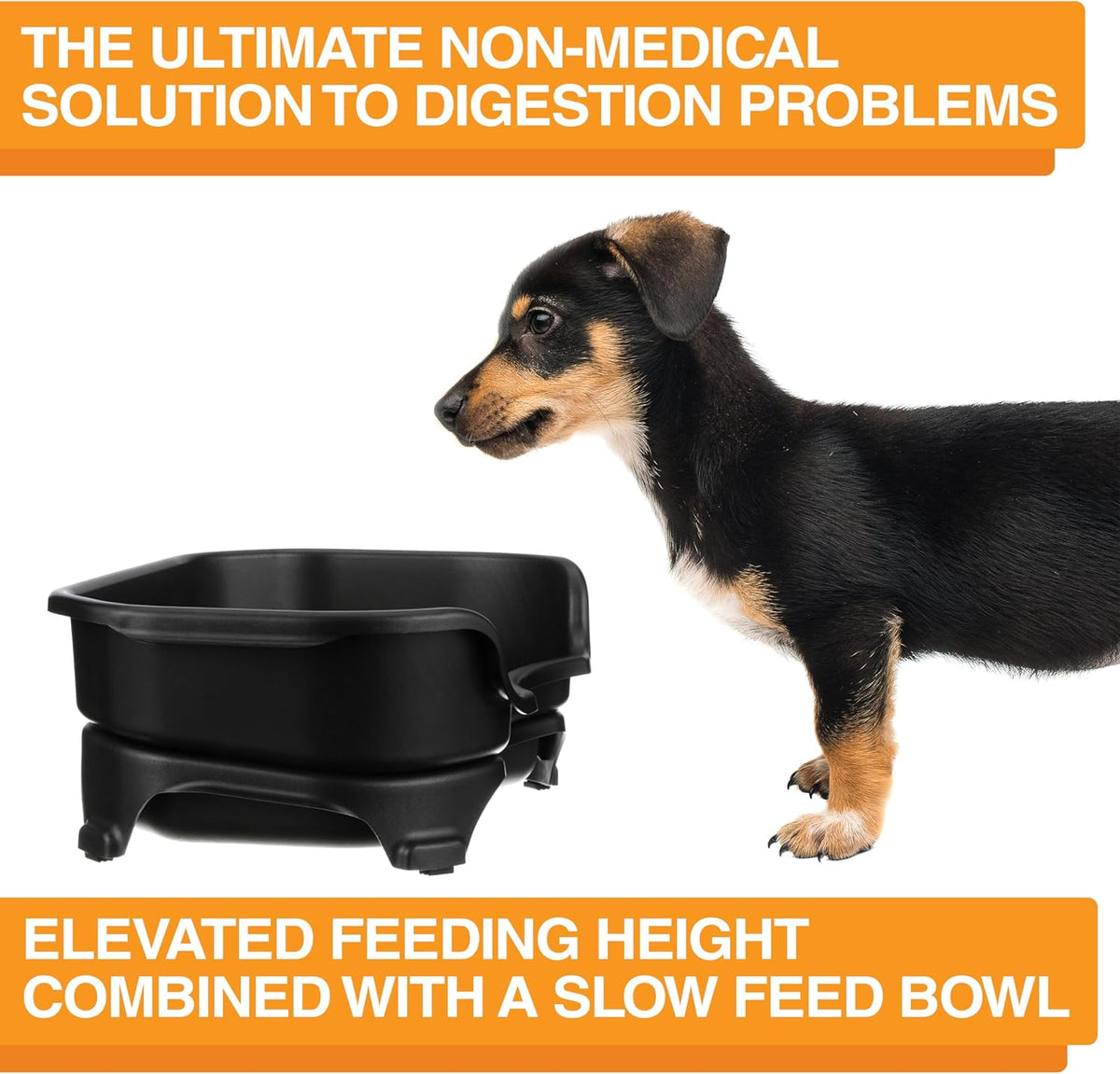 Neater Feeder Express Mess Proof Dog Bowls Elevated for Small Breed – Made in USA – No Spill Raised