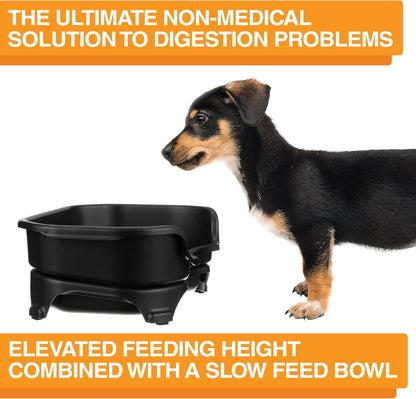 Neater Feeder Express Mess Proof Dog Bowls Elevated for Small Breed – Made in USA – No Spill Raised