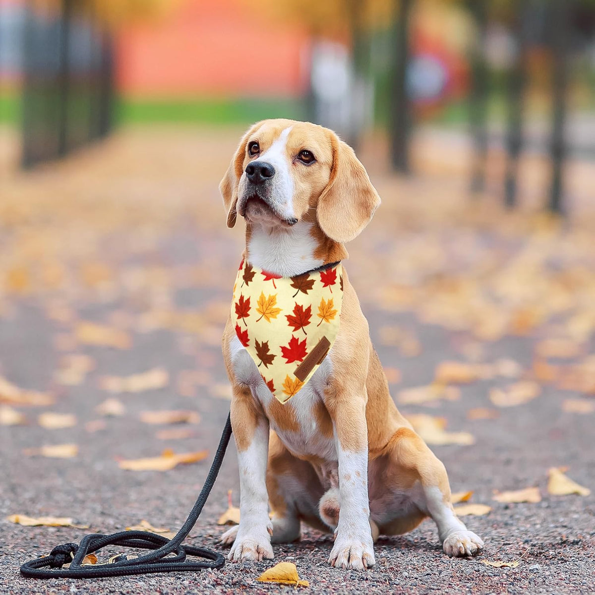 Realeaf Fall Dog Bandanas 2 Pack, Orange Pumpkin and Leaf Print Pet Scarf for Boy and Girl, Premium