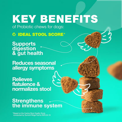 Probiotics for Dogs Gut Health, Digestion, Immunity, Yeast Balance, Itchy Skin, Allergies Support