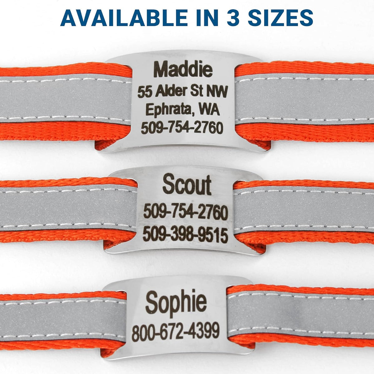 GoTags Reflective Personalized Dog Collar with Nameplate, Adjustable Dog Collar with Custom