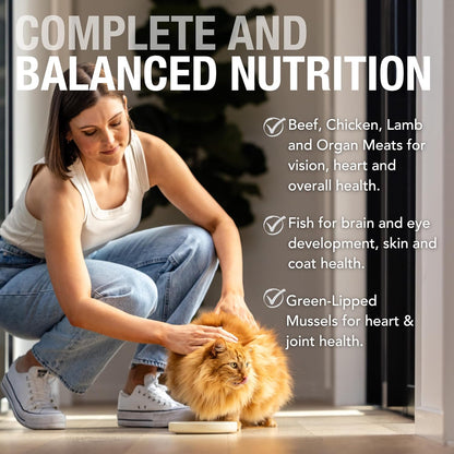 Feline Natural Wet Cat Food Variety Pack - Chicken, Lamb, Salmon & Beef Feast, Grain-Free, 3oz