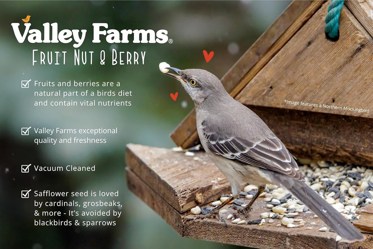 Valley Farms Fruit Nut & Berry 4 LB 2-Pack (8 LB Total) Wild Bird Food for Outside Feeders, Bird