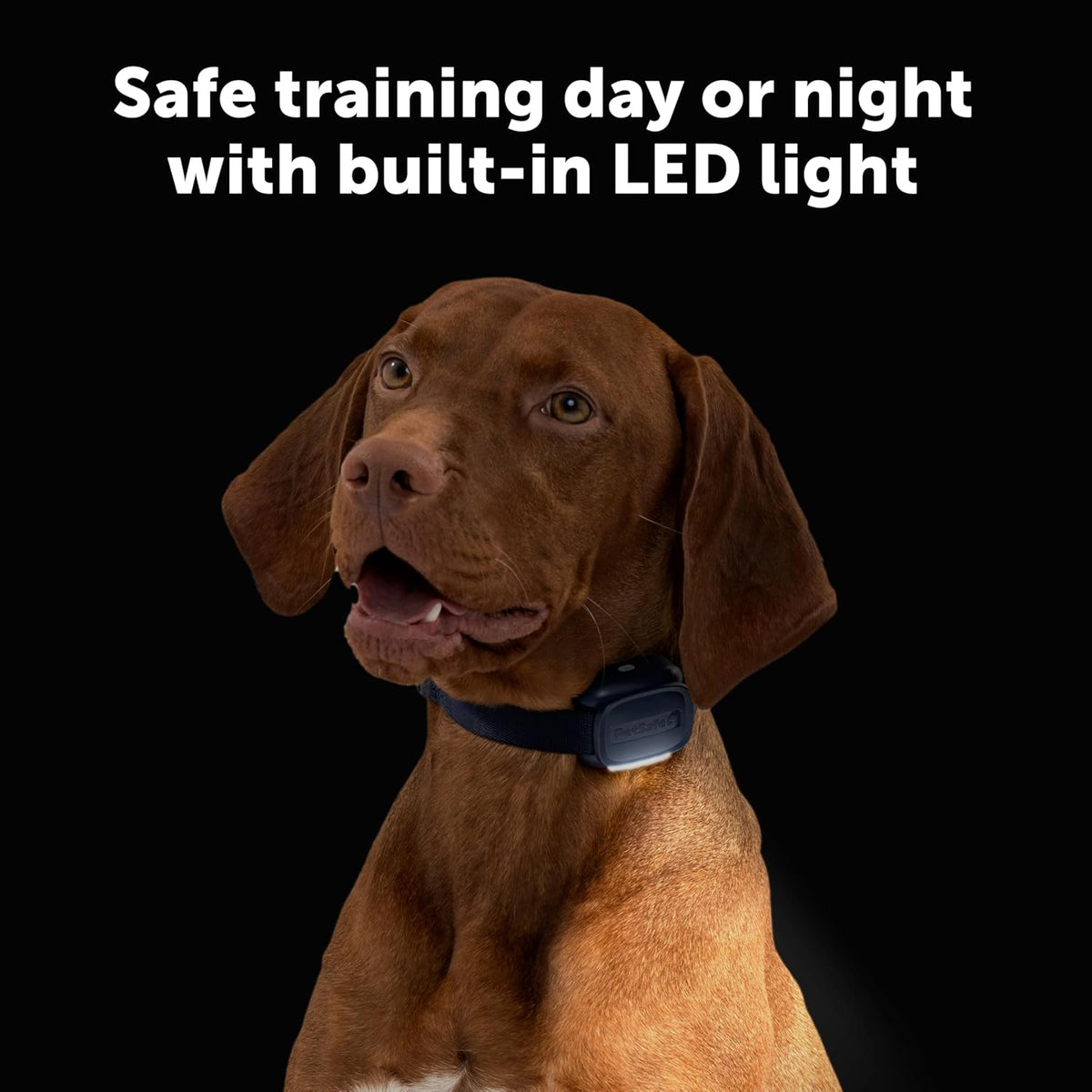 PetSafe Core Dog Trainer with Remote – Waterproof Training Collar – 1000 Foot Range – Tone