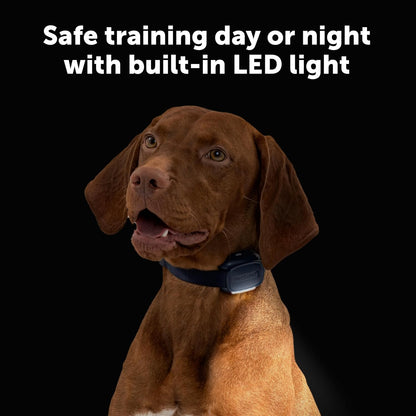 PetSafe Core Dog Trainer with Remote – Waterproof Training Collar – 1000 Foot Range – Tone