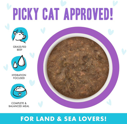 Weruva B.F.F. OMG - Best Feline Friend Oh My Gravy!, Best Day Eva! with Beef & Salmon in Gravy Cat