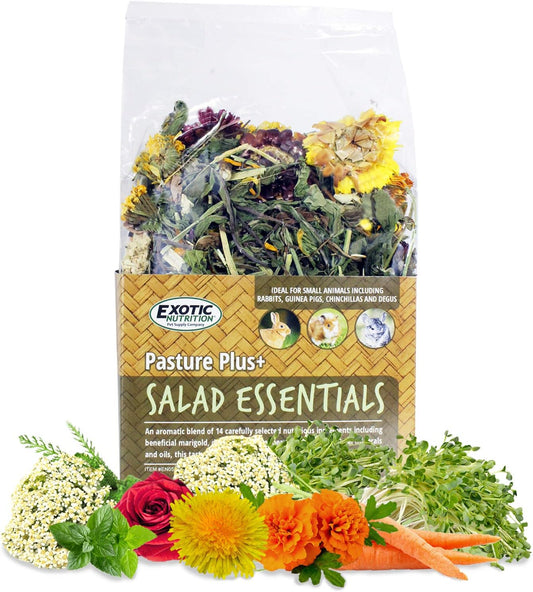 Pasture Plus+ Salad Essentials - Healthy Natural High-Fiber Dried Flower & Herb Treat - Squirrels