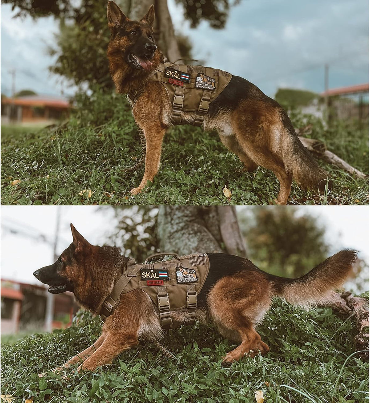 OneTigris No Pull Tactical Dog Harness for Medium Dog, Aire Mesh Dog Vest Harness, Breathable