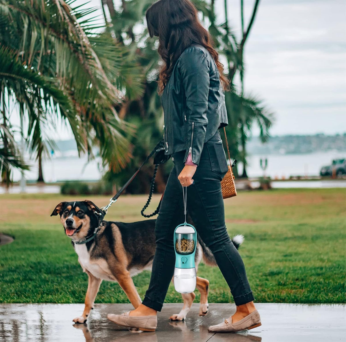 Dog Water Bottle with Food Container, Travel Puppy Water Bowl, Portable Pet Dispenser, Dog Stuff