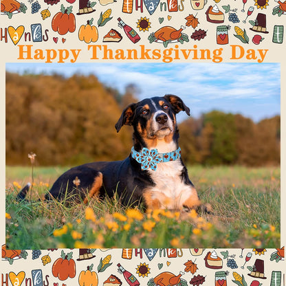 Unique style paws Thanksgiving Dog Collar with Flower Tie Autumn Turkey Theme Puppy Collar for