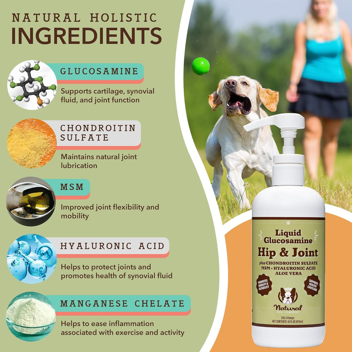 Natural Dog Company Healthy Joints, Skin and Coat Bundle for Dogs, Includes (1) Bottle Natural Dog