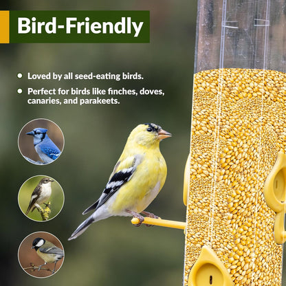 Wildlife Organic White Millet for Bird Feeding and Wildlife Bird attracting, Non-GMO and USA Grown