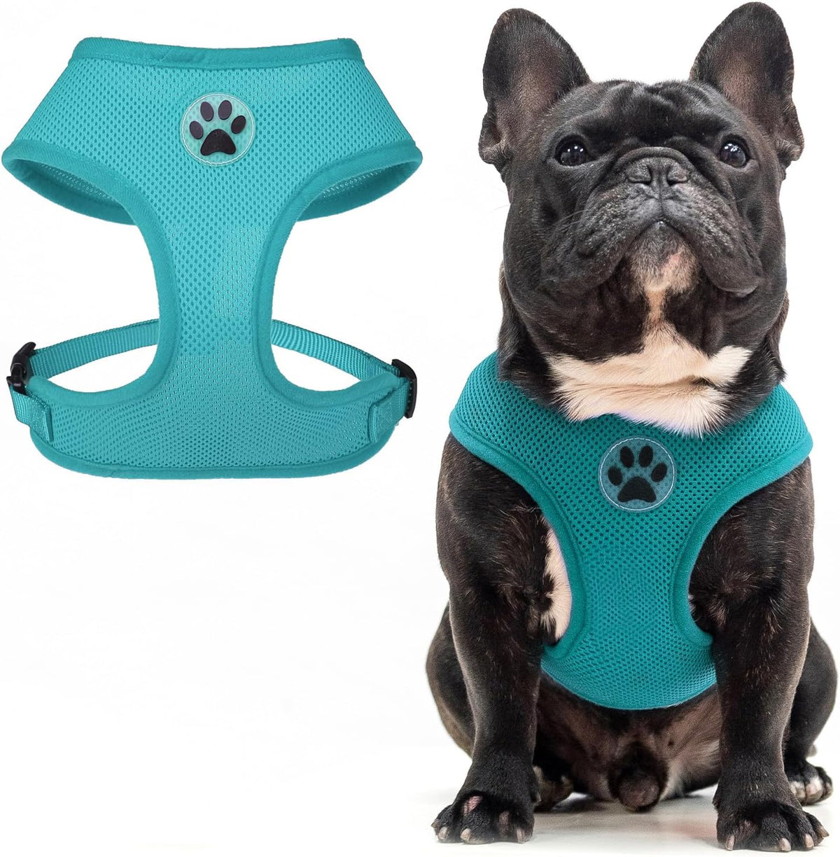 BINGPET Small Dog Harness - Breathable Mesh Puppy Cat Harnesses - No Pull Adjustable Dog Harness