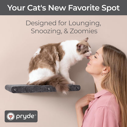 Wall Mounted Cat Perch Long Shelf by Pryde Pets - Floating Hammock Bed, 100% Sustainable PET Felt