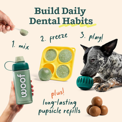 WOOF Dental Kit- Includes Pupsicle Dog Toy, Treat Tray, Shaker Bottle, Chicken Pupsicle Pops, and