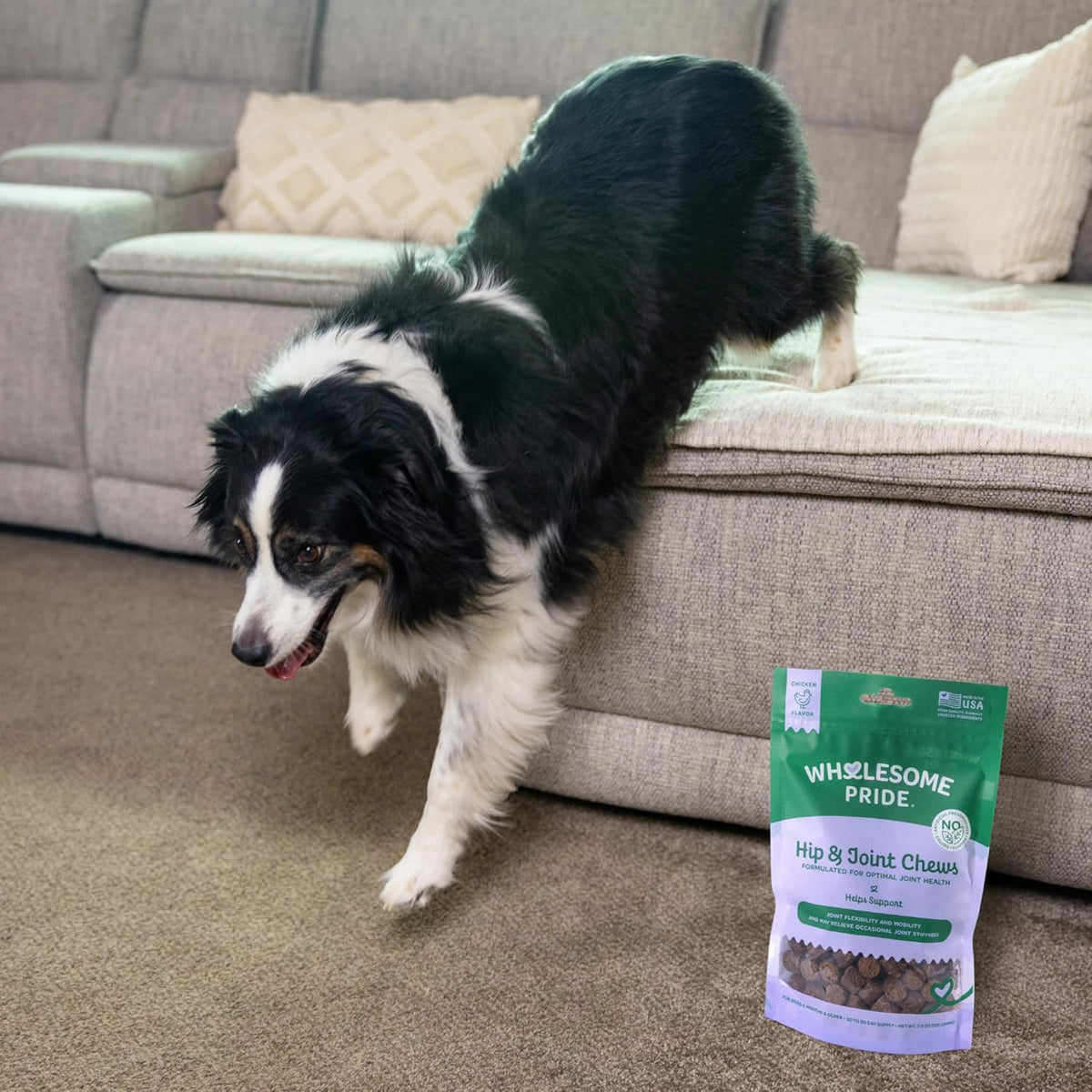 Wholesome Pride Hip & Joint Supplement for Dogs – 90 Soft Chews – Glucosamine, Chondroitin, MSM &