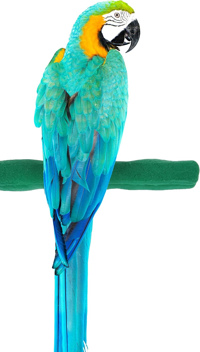 Comfort Grip Safety Perch for Bird Cages - Pedicure Perch for Birds to Keep Nails and Beaks in Top