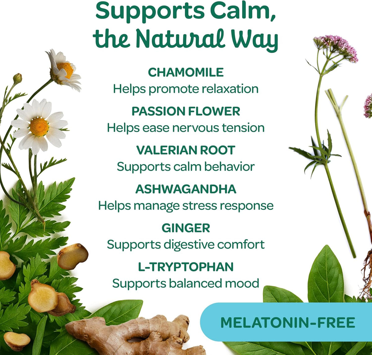 Wholesome Pride Calming Supplement for Dogs - 90 Soft Chews - Natural Anxiety Relief, Separation &