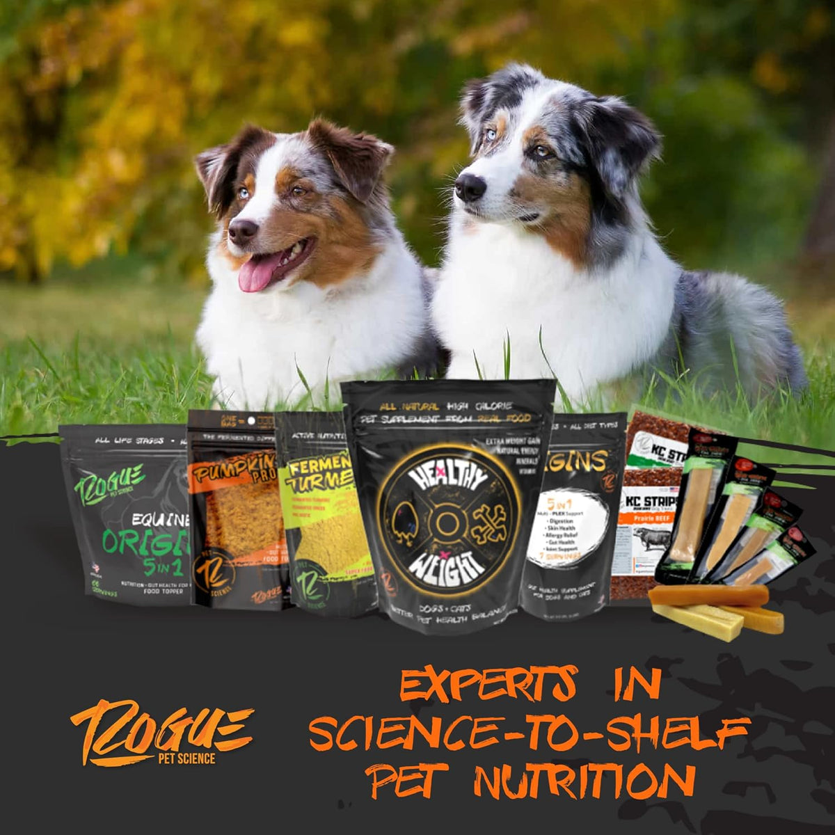 Origins 5-in-1 Dog Supplement - Powdered Food Topper w/Natural Omega 3 Fish Oil - Supports Healthy