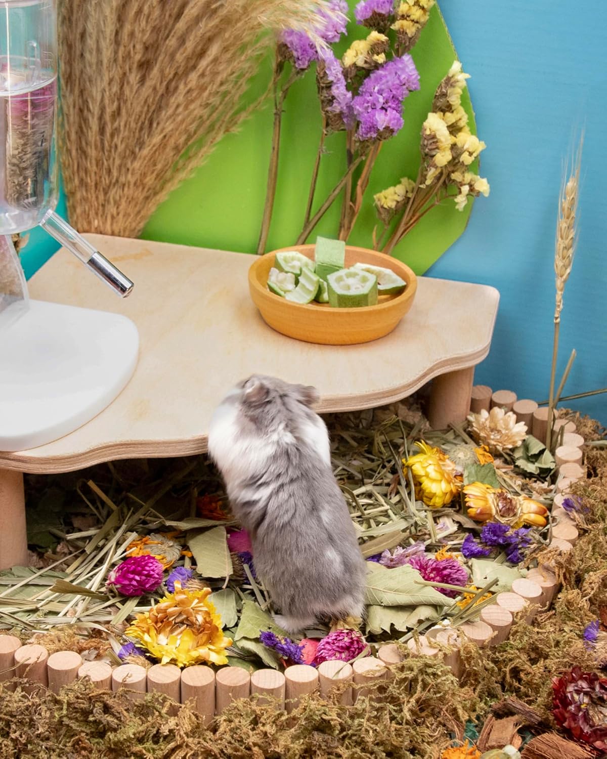 Niteangel Hamster Snack & Treats Toy - Small Animal Natural Treat for Dwarf Syrian Robo Hamsters