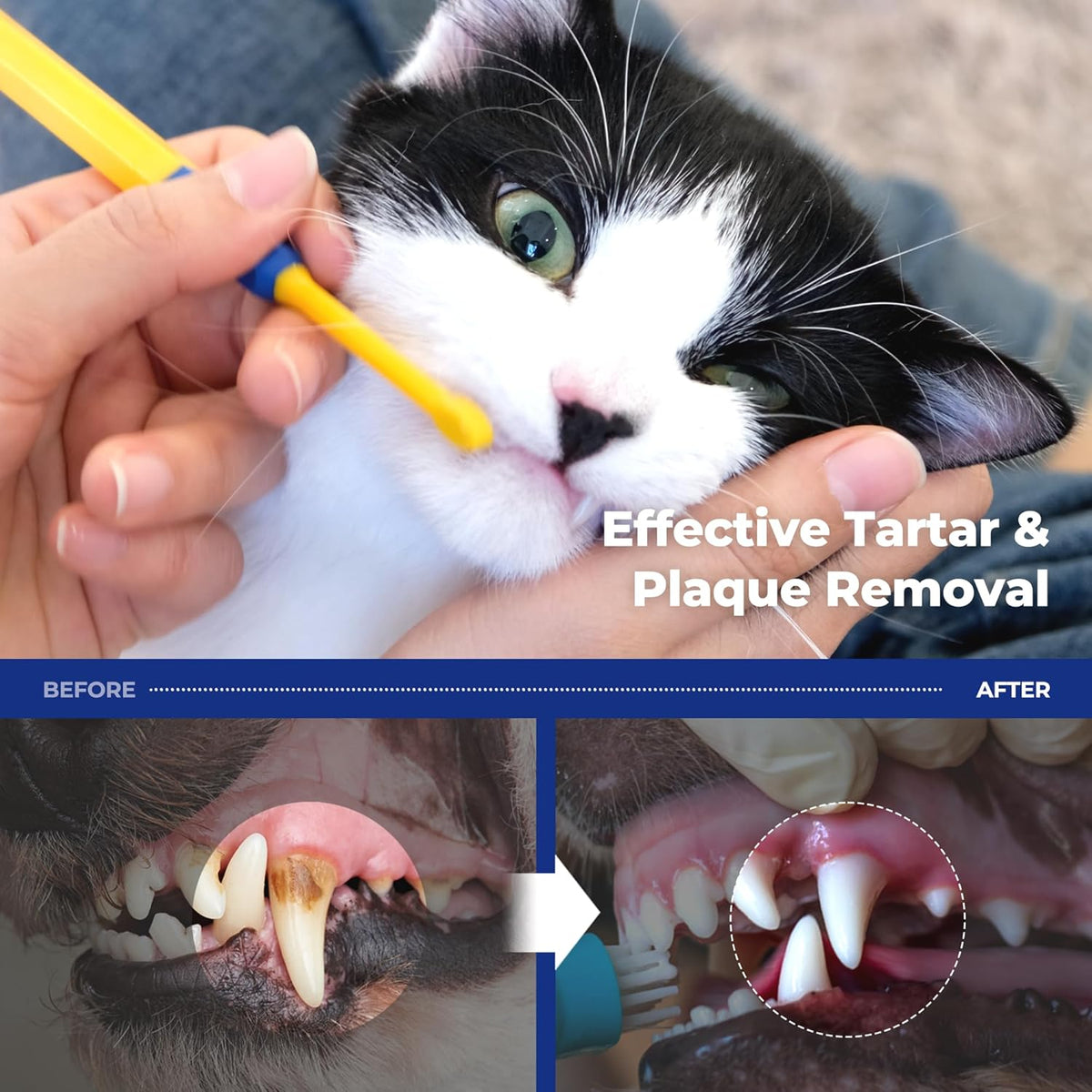 PETHROOM] Pet Toothbrush - Cats, Kitten, Small Dog Dental Care, Removing Teeth Tartar | Soft