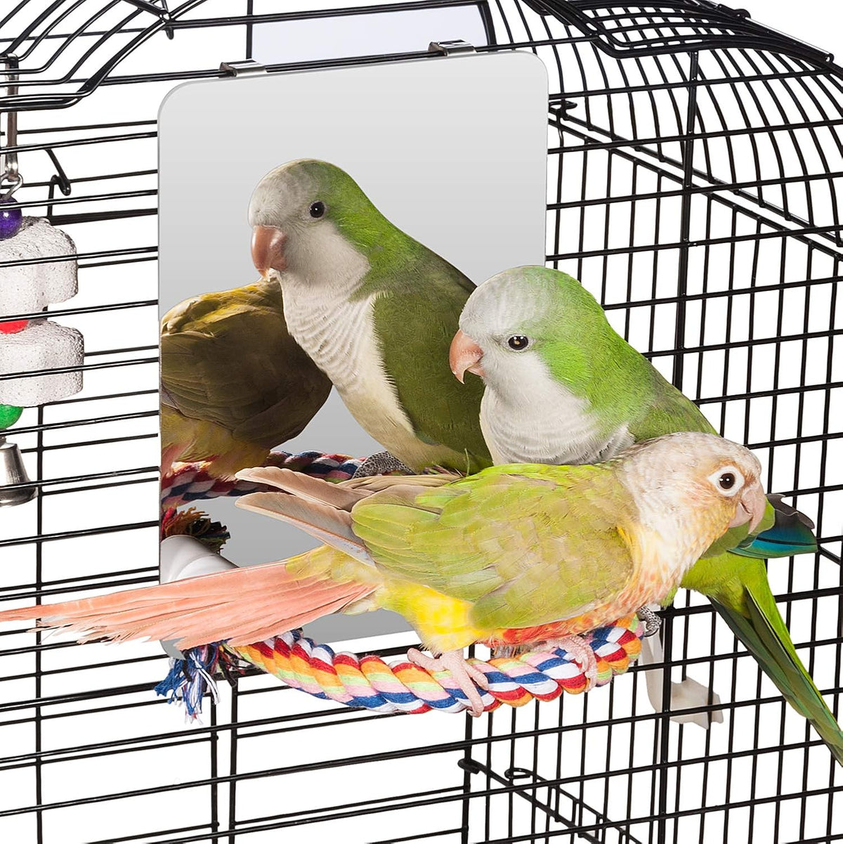 Colorday 7" Bird Mirror with Rope Perch, Bird Swing, Parrot Cage Toys for Parakeet African Grey