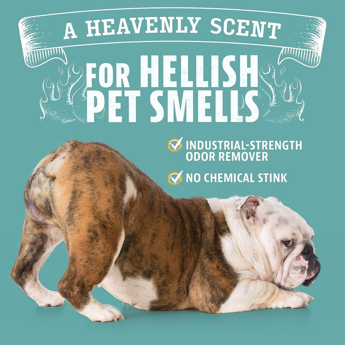 ANGRY ORANGE Pet Odor Eliminator for Dog and Cat Urine, Carpet Stains, and Strong Smells – Citrus