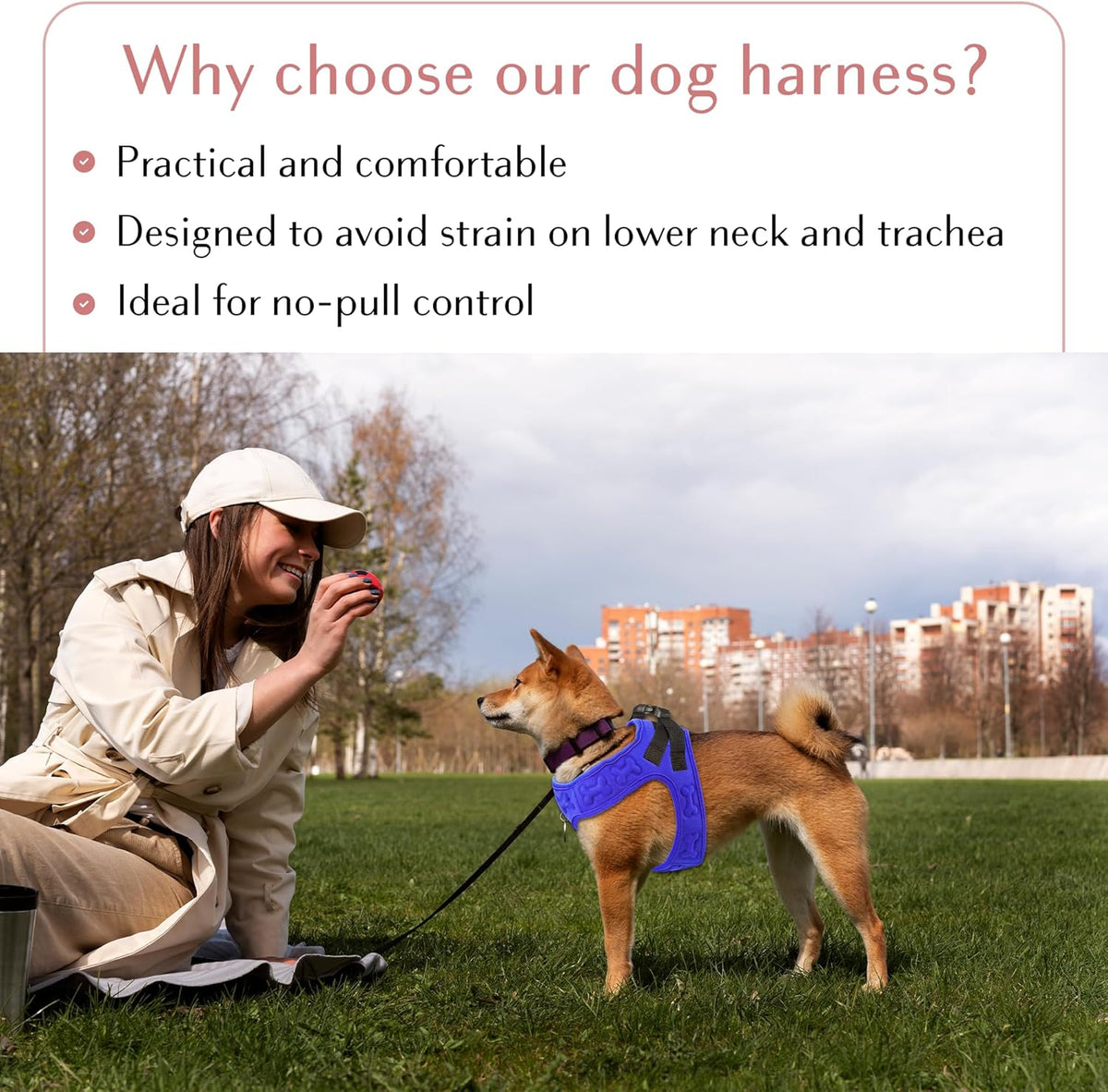 Comfort Fit Dog Harness Soft Padded No Pull Harness with Adjustable Buckles for Small Medium Large